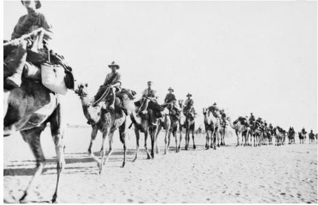 1st Australian Camel Bn. Imperial Camel corps leaving El Kharga 1917. Photo source AWM H0774